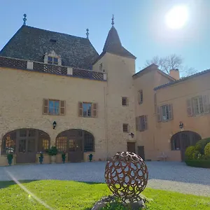 Chateau De La Venerie Denicé
